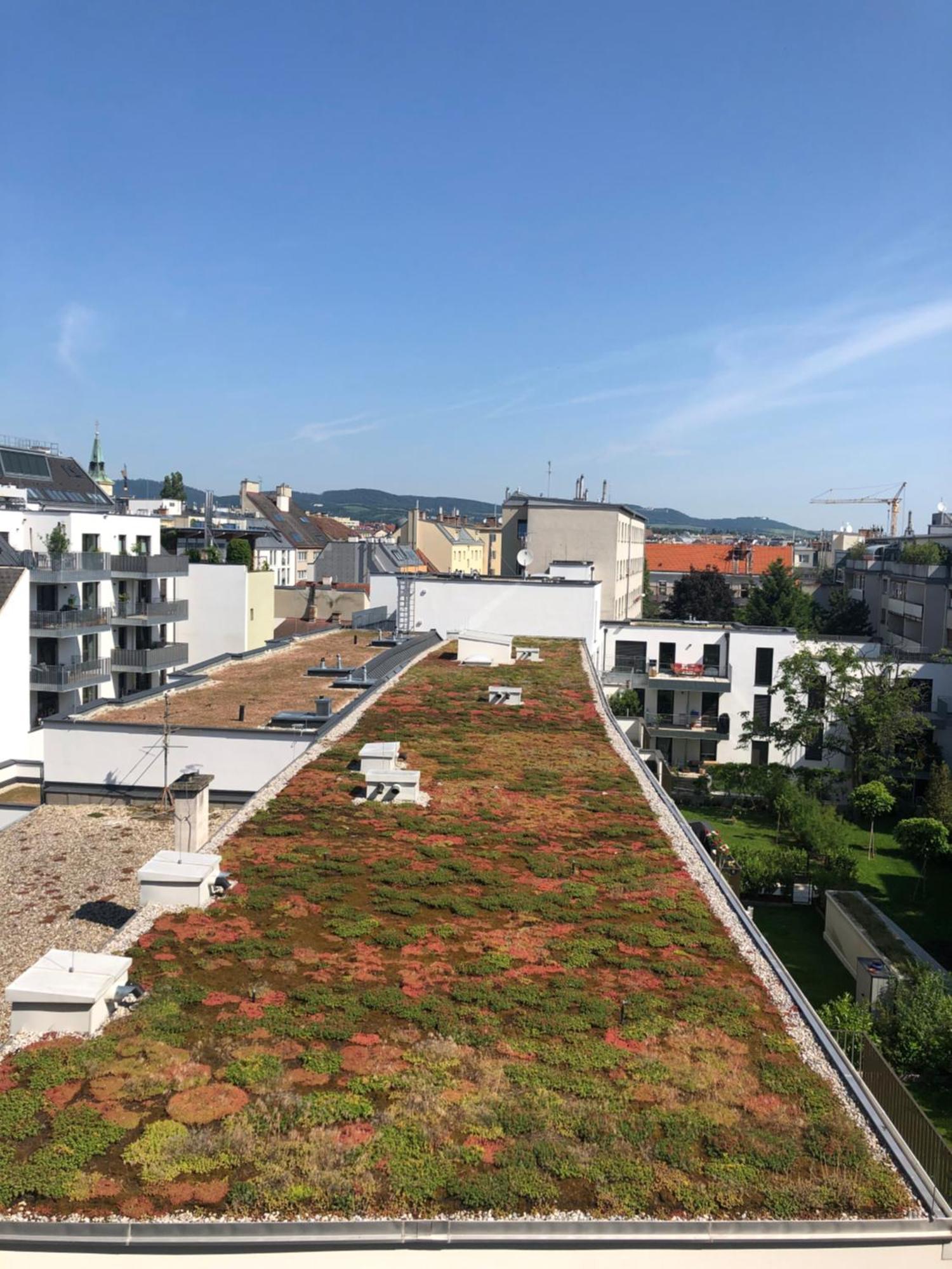 Vienna Sunny Side Up Apartments 外观 照片